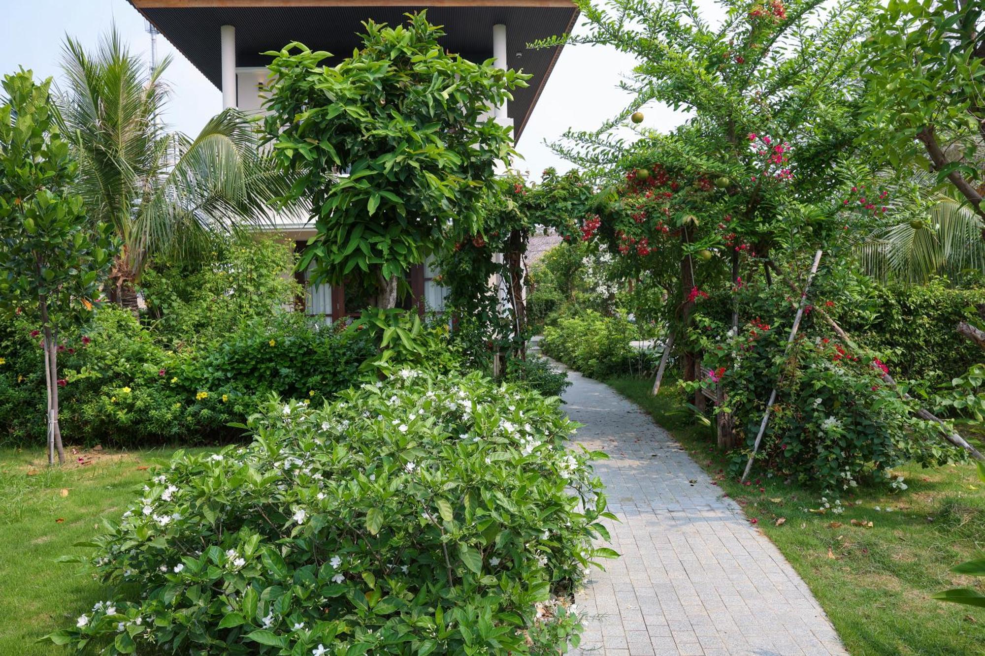 Hoan My Resort - Ninh Chu Phan Rang Kültér fotó